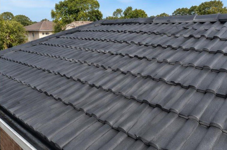 Illustrative roof soft washing after work