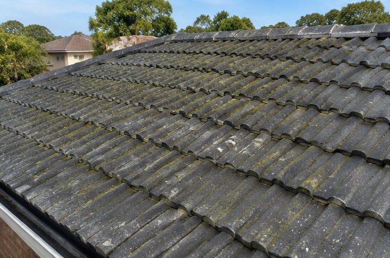 Illustrative roof soft washing before work